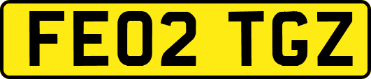 FE02TGZ