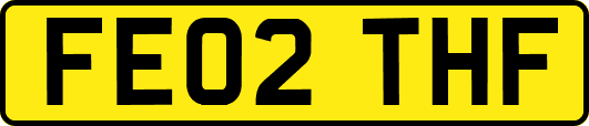 FE02THF