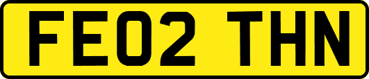 FE02THN