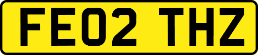 FE02THZ