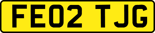 FE02TJG