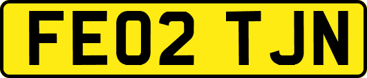 FE02TJN