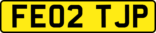 FE02TJP