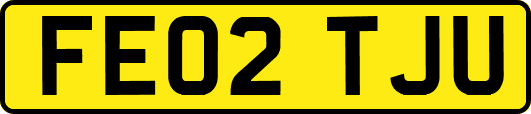 FE02TJU