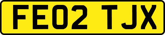 FE02TJX