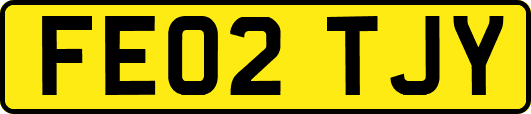 FE02TJY