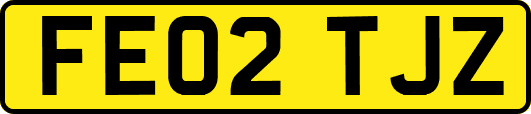FE02TJZ