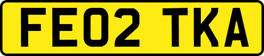 FE02TKA