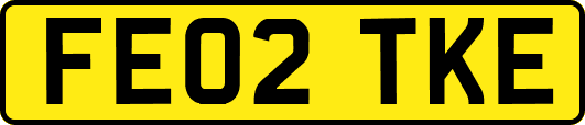 FE02TKE
