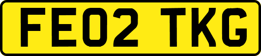 FE02TKG