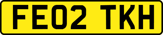 FE02TKH