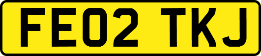 FE02TKJ