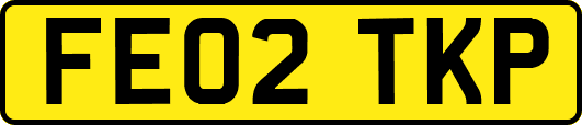 FE02TKP