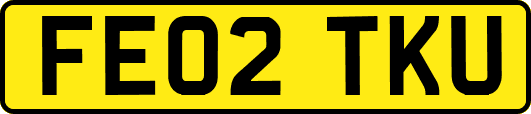 FE02TKU