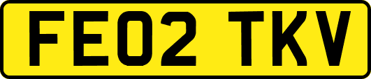 FE02TKV