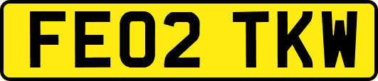 FE02TKW