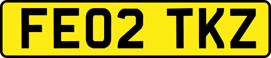FE02TKZ