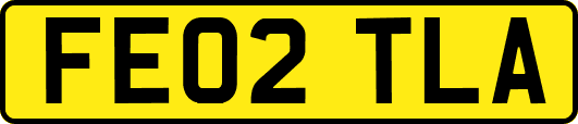 FE02TLA