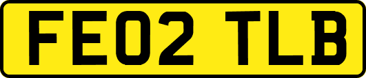 FE02TLB