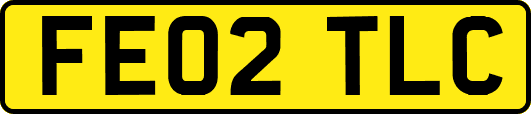 FE02TLC