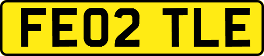 FE02TLE