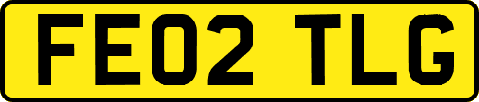 FE02TLG