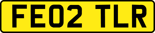 FE02TLR