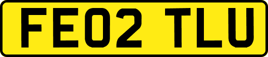 FE02TLU