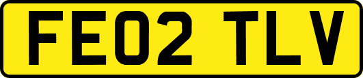 FE02TLV