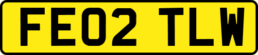 FE02TLW
