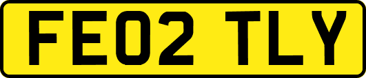 FE02TLY