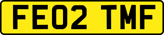 FE02TMF