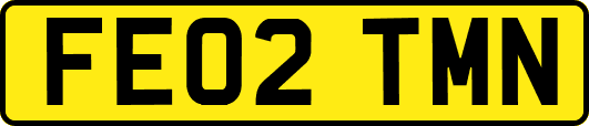 FE02TMN