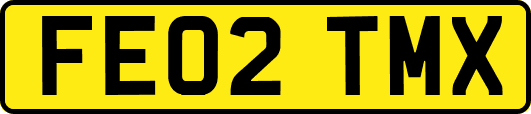 FE02TMX