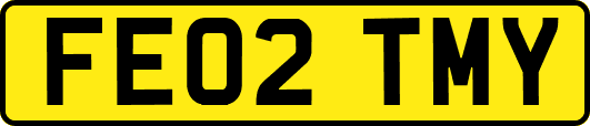 FE02TMY