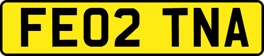 FE02TNA