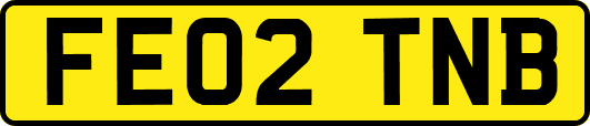 FE02TNB