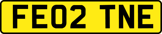 FE02TNE