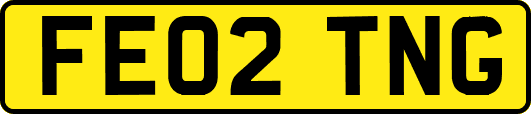 FE02TNG