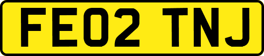 FE02TNJ