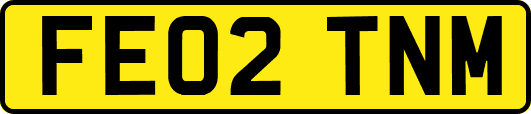 FE02TNM