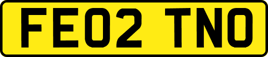 FE02TNO