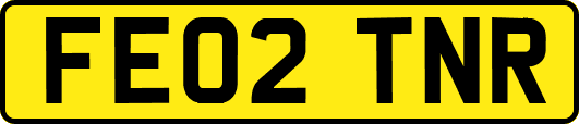 FE02TNR