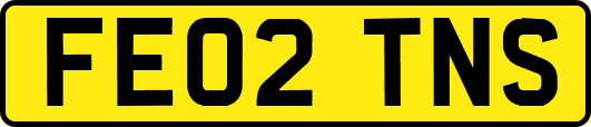 FE02TNS