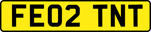 FE02TNT