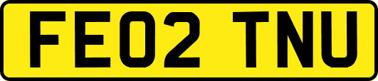 FE02TNU