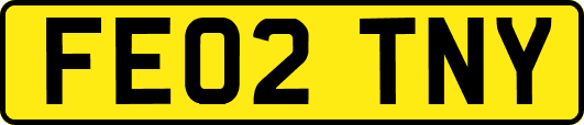 FE02TNY