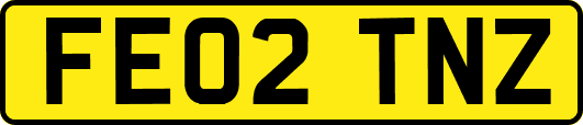 FE02TNZ