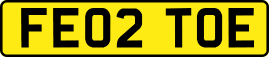 FE02TOE