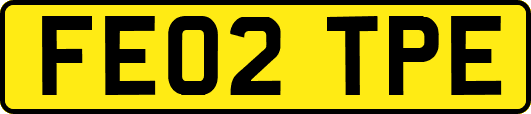 FE02TPE